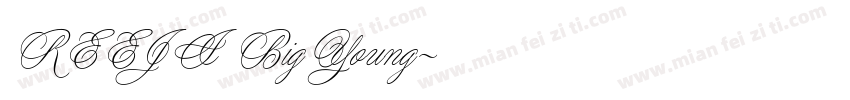 REEJI BigYoung字体转换
